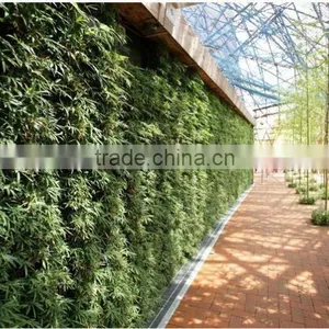 Wall Greening Flowerpot Vertical Garden Planters Supplier in China thumbnail-3