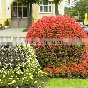 Big Outdoor Tall Plastic Decorative Flower Pots thumbnail-2