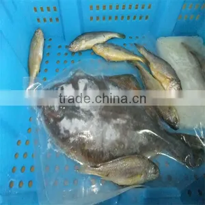 Canned Seafood and Cheap Fresh Fish thumbnail-1