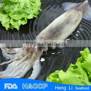 Wholesale Frozen Seafood CE Certification thumbnail-1