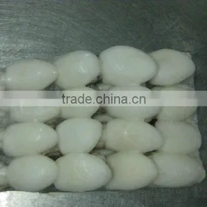 FROZEN BABY CUTTLEFISH thumbnail-1