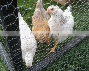 Plastic Coated Poultry Netting thumbnail-1