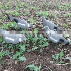 PIGEON DECOY BIRD PAINTED SHELL HIGH QUALITY thumbnail-3