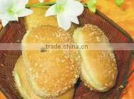 MILK FAT SUBSTITUTE(Non Dairy Creamer) thumbnail-1