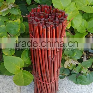 Dyed Green Bamboo Sticks for Garden&agriculture thumbnail-6