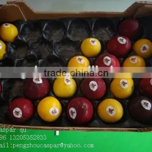 China Professional Manufacturer&Exporter Cheap Food Grade Disposable Soft Thin Plastic Serving PP Fruit Tray thumbnail-1