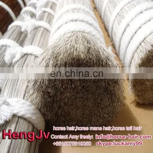 Loose Horse Hair for Sell Mongolian Horse Hair Horse Hair for Brush Extension thumbnail-2