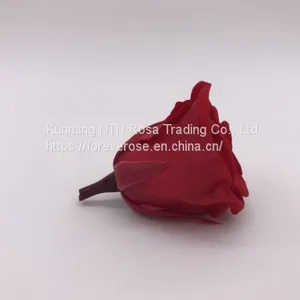High Quality Timeless Preserved Flower to Make Gorgeous Flower Gifts thumbnail-2