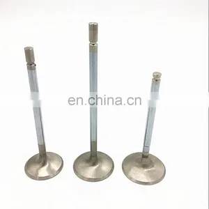 OEM Quality Bajaj Boxer Ct100 Bajaj Chetak India Bajaj Pulsar Spare Parts Intake Exhaust Engine Valve thumbnail-4
