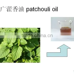 Wholesale Suppliers of Pure Patchouli Essential Oil Herb Oil thumbnail-1