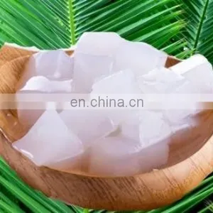 Raw Nata de Coco/ Coconut Jelly in Syrup for Pudding From Vietnam thumbnail-3