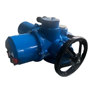 Electric Actuator DZW 90 Multi-rotary Valve Electric Device Electric Flow Valve thumbnail-3