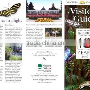 Professional Folded Brochure Printing thumbnail-1