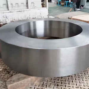 Forged Stainless Steel Ring Forged Flanges Hot Press Forging Parts thumbnail-1