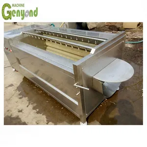 Popular Brush Roller Washing Peeling Machine for Potato/Sweet Potato/Carrot/Taro/Kiwi Fruit thumbnail-6