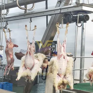 WFA Full Sheep Slaughtering Line Equipment Goat Abattoir Factory Machine Lamb Butcher Machinery Meat Mutton Production HACCP thumbnail-4