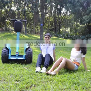 Newly Designed Skateboards Chinese Portable Electric Wheel Electric 250w thumbnail-1