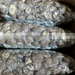 White Flower Dry Mushroom With FDA thumbnail-4