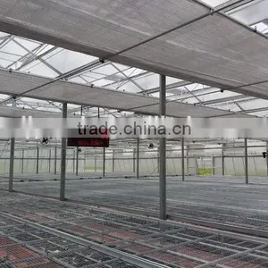 200Micro Agricultural Greenhouses for Tomato thumbnail-2
