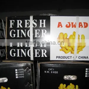 2016 Chinese Fresh Ginger Wet Dry Half Dry Skin Super Quality thumbnail-5