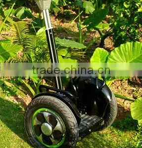 New Remote Controller Zero-emission Electric Chariot thumbnail-1