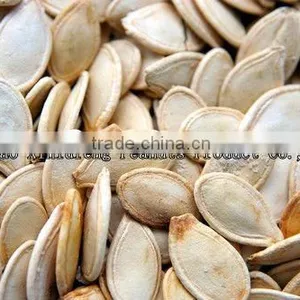 Chinese Snow White Pumpkin Seeds in Shell thumbnail-1