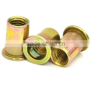 Hot Sale Yellow Zinc Flat Head Hexagon Blind Rivet Nuts thumbnail-1