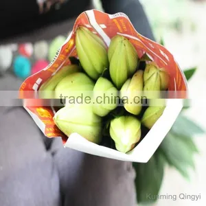 Wholesale High Quality Fresh Lily Flower Water Lilies Flowers From Kunming Qingyi thumbnail-5