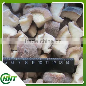 Frozen Shiitake Mushroom Iqf Shiitake Mushrooms thumbnail-5