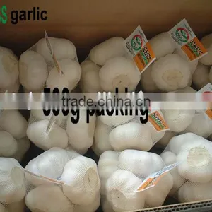 New Garlic thumbnail-1