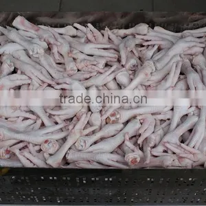 GRADE A BRAZILIAN HALAL FROZEN WHOLE CHICKEN READY FOR EXPORT ANY PORT OF YOUR CHOICE thumbnail-4