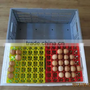 China Supplier Wholesale 30 Pcs Different Types Plastic Egg Tray With Price List thumbnail-6