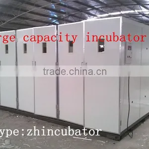 3 Year Warranty Automatic 30000 Poultry Chicken Egg Incubator for Sale Philippines thumbnail-3