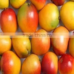 Good Quality Fresh Mangoes thumbnail-1