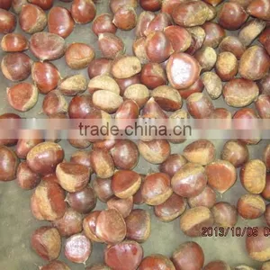 New Crop Chestnut 2015 thumbnail-5