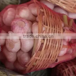 Garlic Type and Fresh Style Fresh White Garlic thumbnail-2