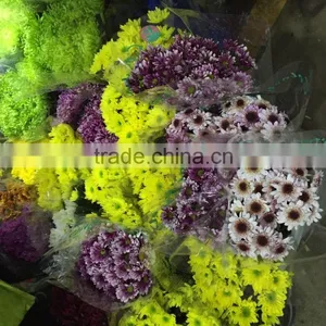 Fresh Cut Chrysanthemums Flower thumbnail-1
