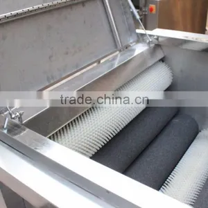MSTP-80 Stainless Steel Potato Carrot Cassava Washer and Peeler thumbnail-2