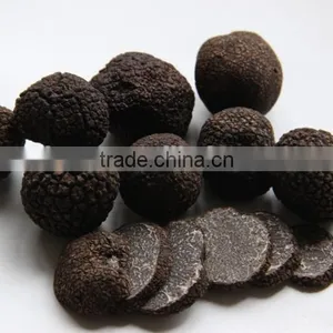 Frozen Black Truffle Grade A thumbnail-5