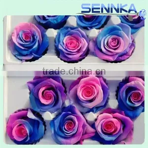 Natural Real Touch Flower Rose 2-3cm Flower Rose Head Preserved Fresh Flower thumbnail-2