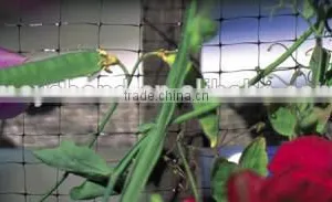 Anti Bird Net for Farming thumbnail-4