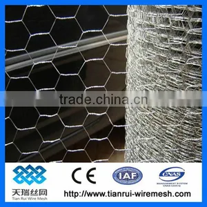 Galvanized Hexagonal Chicken Wire Netting thumbnail-1