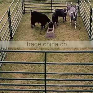 6 Bar /5bar Galvanized Farm Feedlot Panel for Sale thumbnail-5
