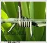 2014Hot-Sale Renewable Electro&Hot Dipped Galvanized Plastic Wrapping Drawing Barbed Wire(Joint Venture Manufacturer) thumbnail-1