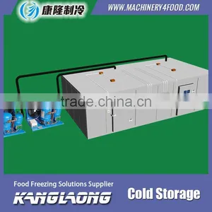 Hot Selling New Technology Container Cold Room thumbnail-3