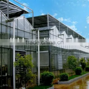 Arc Multi-span Glass Greenhouse for Strawberry thumbnail-1