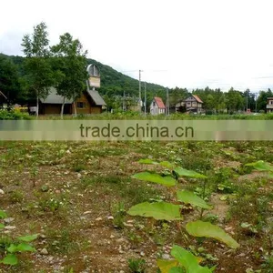 Main Street Commercial thumbnail-1