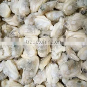 Dandong Taihua Cooked Baby Clam Without Shell for Export thumbnail-1