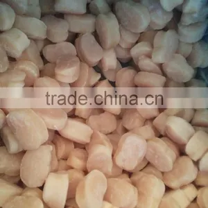 Frozen Fan Shell in Good Quality for Sale thumbnail-2
