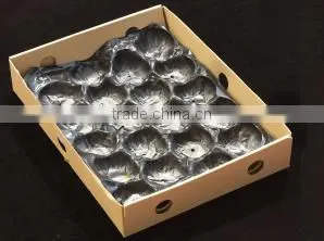 China Supply Cheap Plastic Fruit Tray thumbnail-6